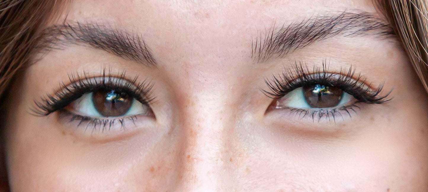 Fully Blessed Deluxe Lash Kit