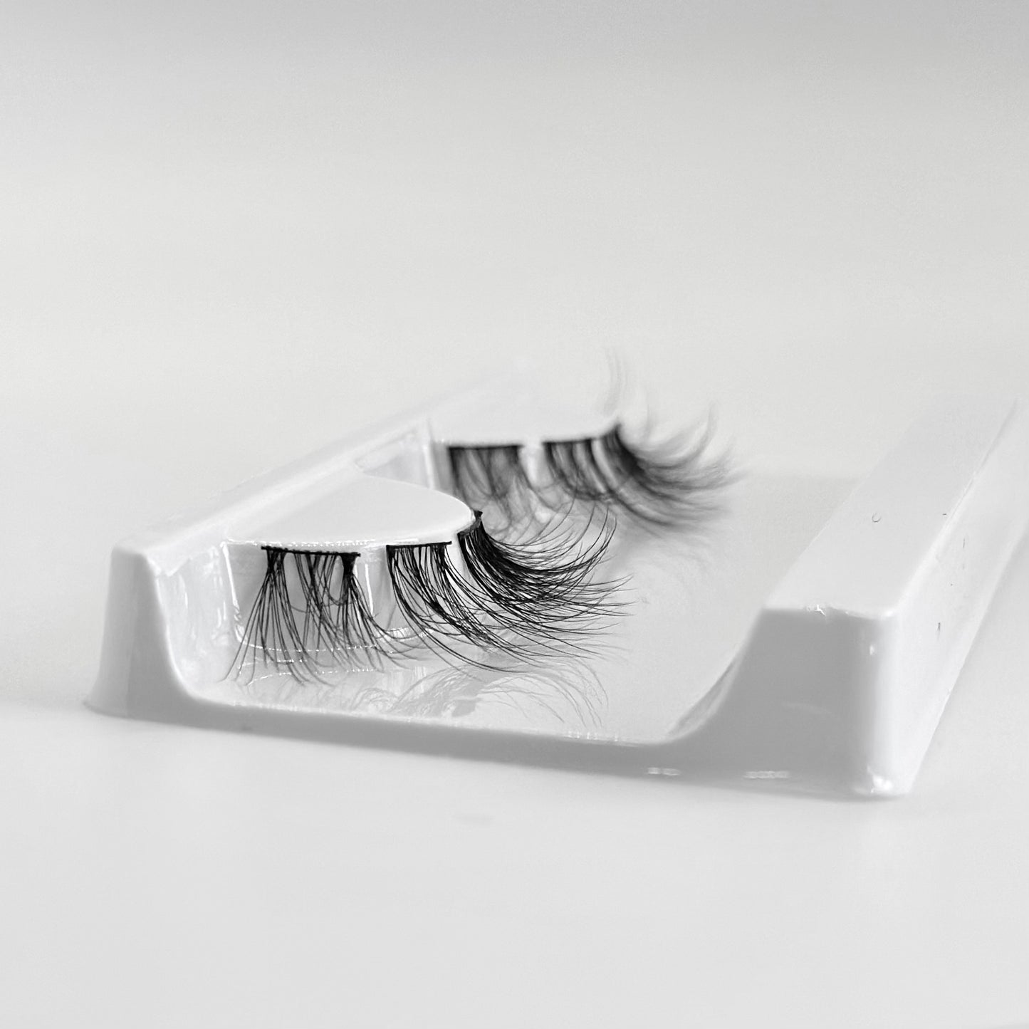 Simply Blessed Deluxe Lash Kit