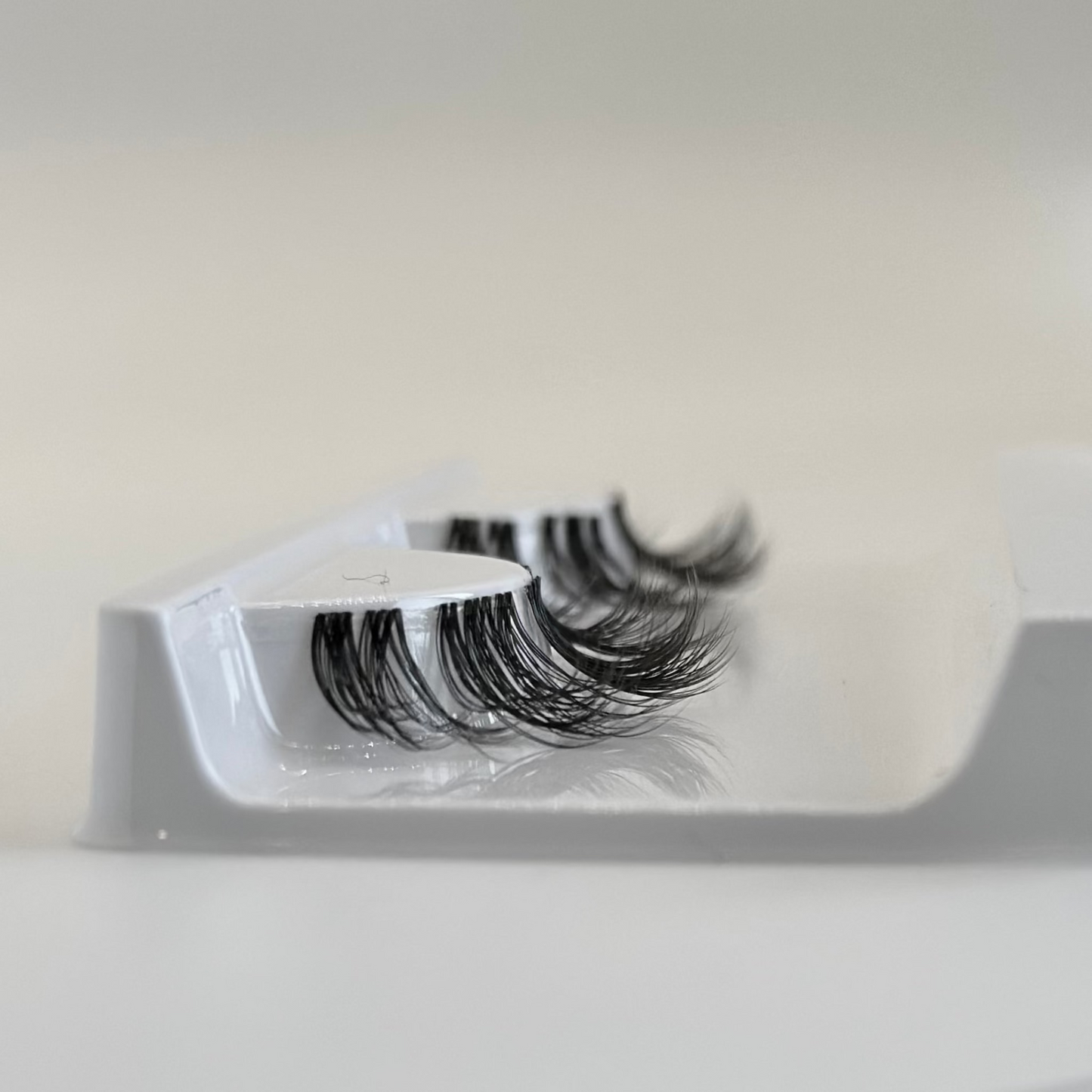 Cindy Lu Deluxe Lash Kit