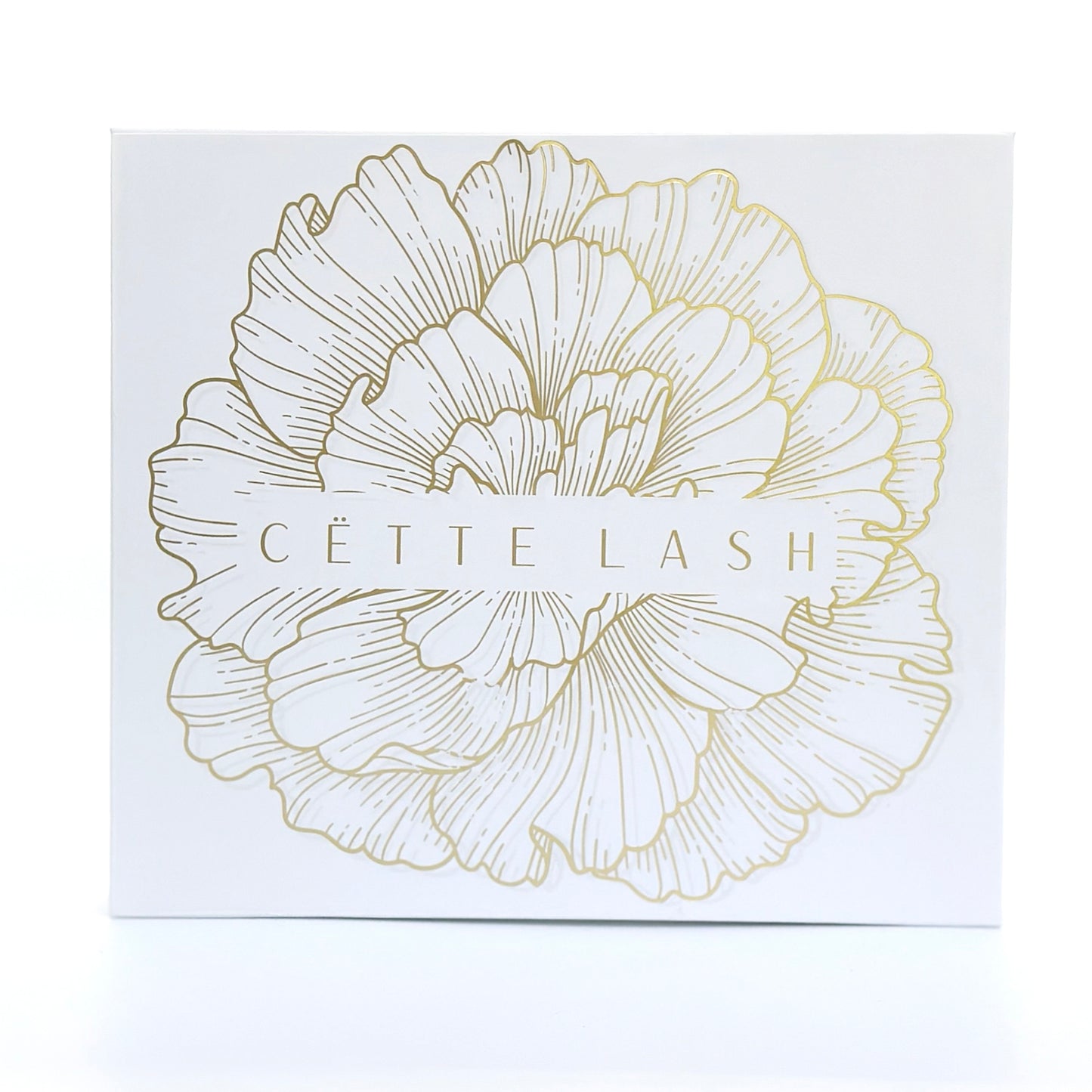 Annastin Deluxe Lash Kit