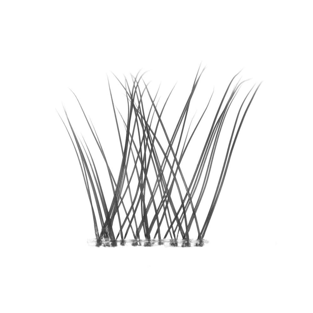 Annastin Deluxe Lash Kit